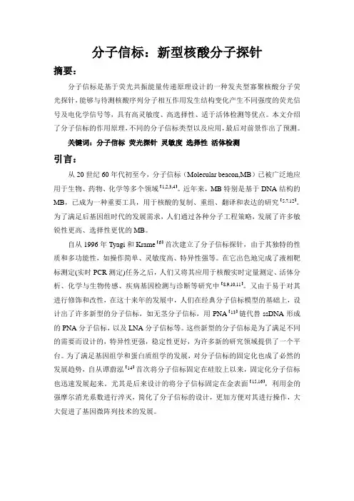 分子信标：新型核酸分子探针要点
