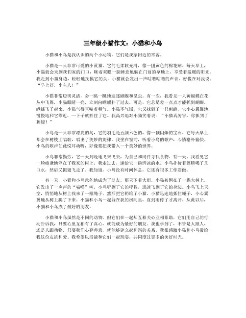 三年级小猫作文：小猫和小鸟 2