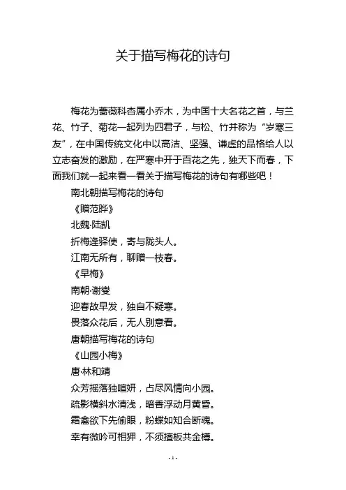 关于描写梅花的诗句