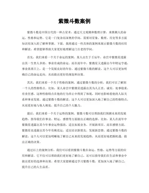 紫微斗数案例