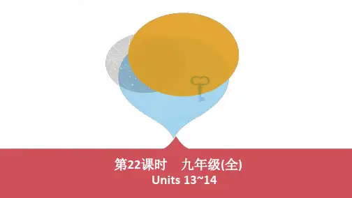 第22课时 九年级(全) Units 13~14