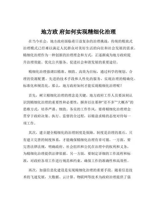 地方政 府如何实现精细化治理