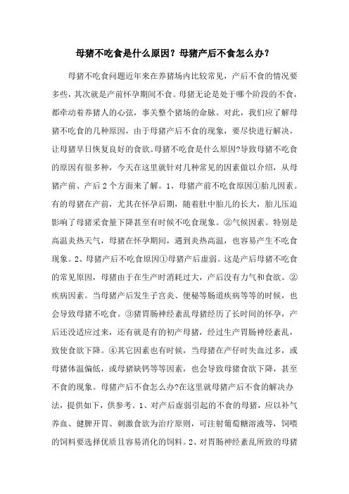 母猪不吃食是什么原因？母猪产后不食怎么办？