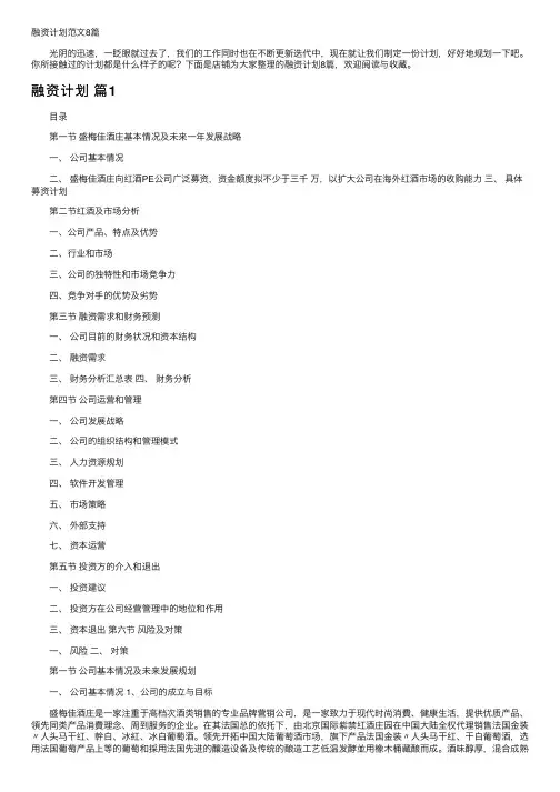 融资计划范文8篇
