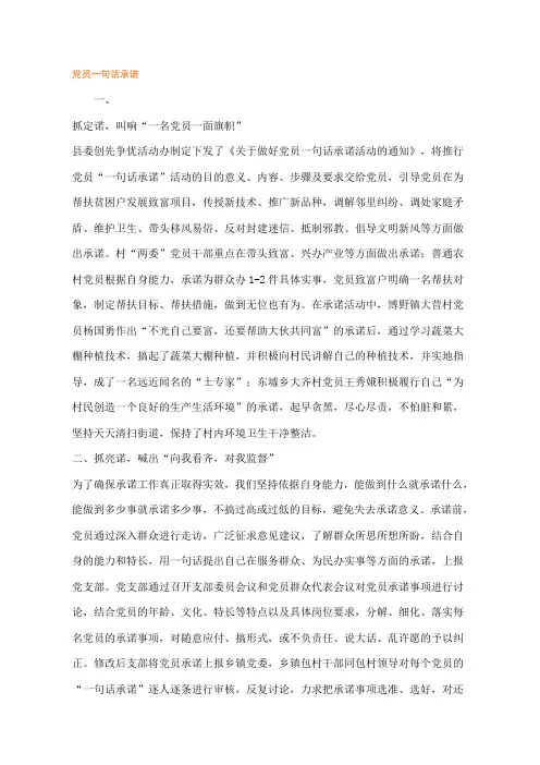 党员一句话承诺总结