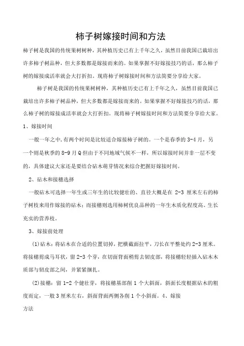 柿子树嫁接时间和方法