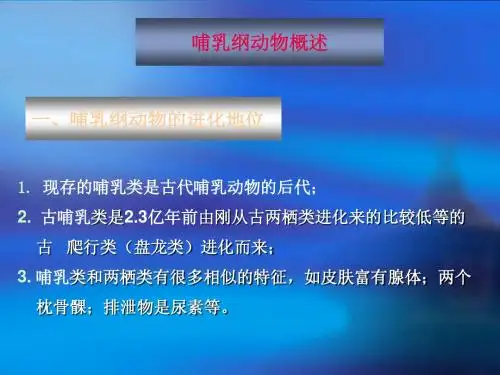 第20章 哺乳纲
