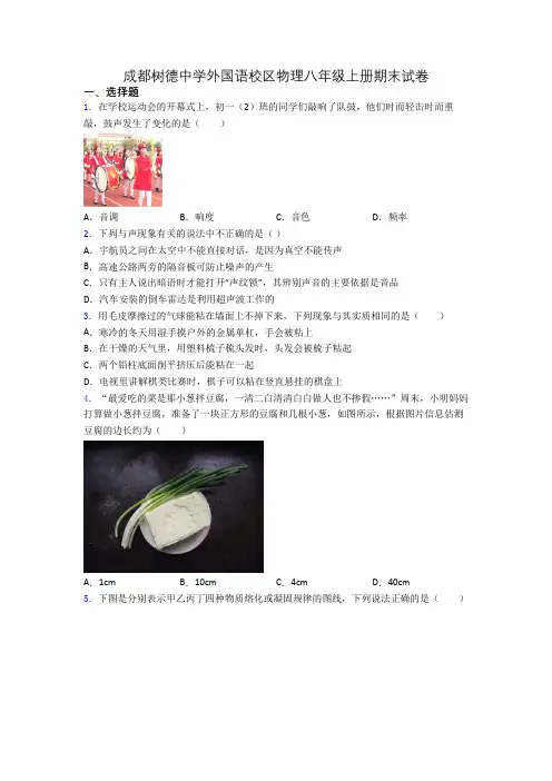 成都树德中学外国语校区物理八年级上册期末试卷