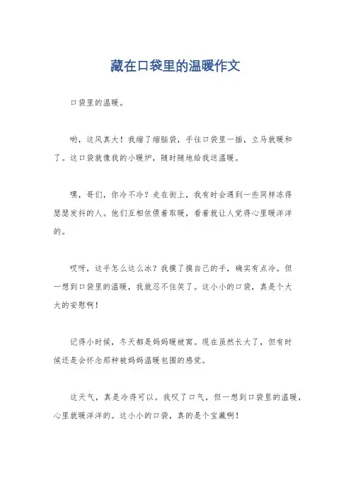 藏在口袋里的温暖作文