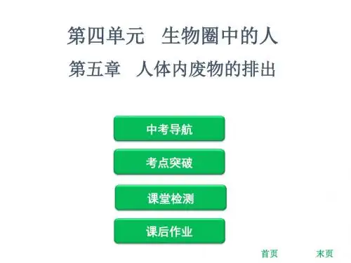 2019年中考生物复习课件：第四单元 第五章   人体内废物的排出(共56张PPT)