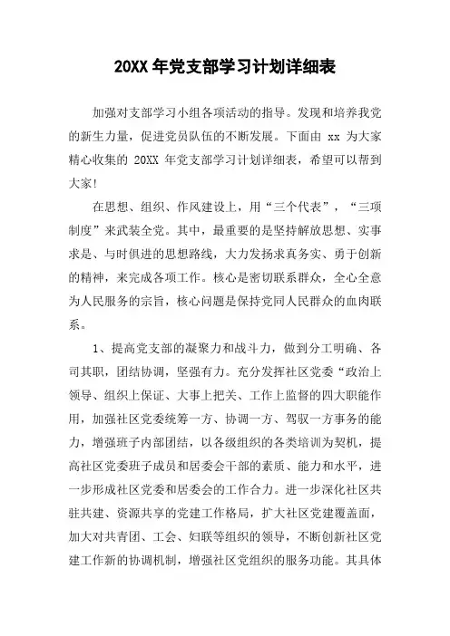 20XX年党支部学习计划详细表
