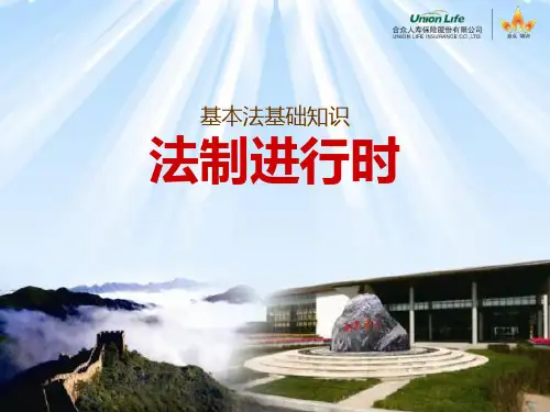 法制进行时