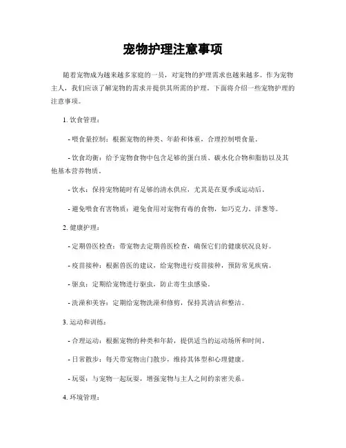 宠物护理注意事项