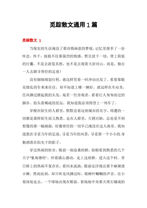 觅踪散文通用1篇