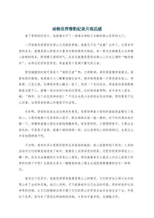 动物世界雪豹纪录片观后感