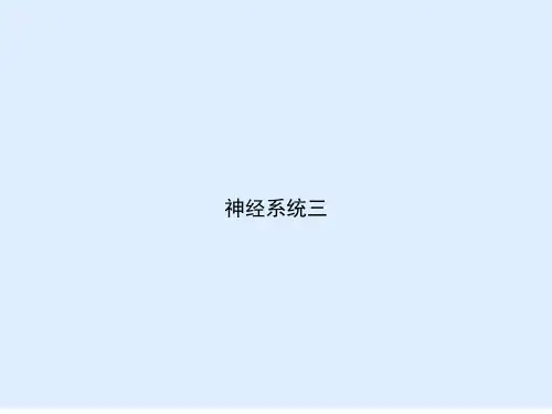 神经系统三