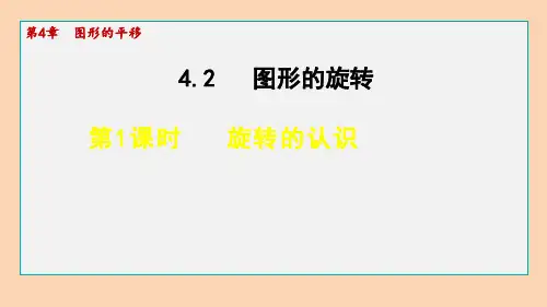 鲁教版(五四制)数学八年级上册4.旋转的认识课件