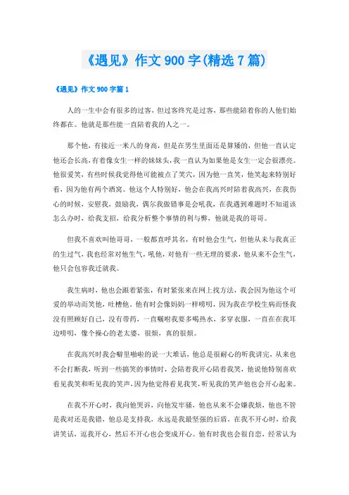 《遇见》作文900字(精选7篇)