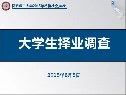 大学生择业调查ppt