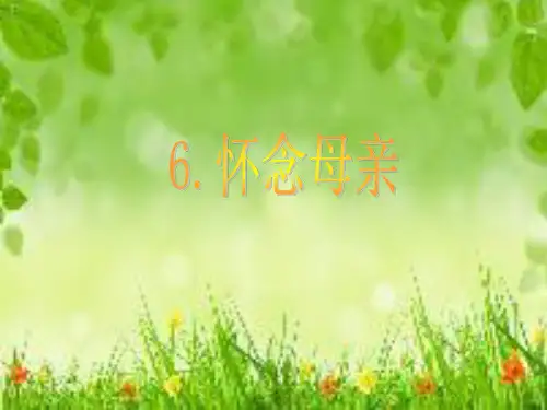 《怀念母亲》导学案