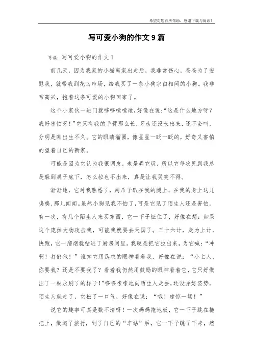 写可爱小狗的作文9篇
