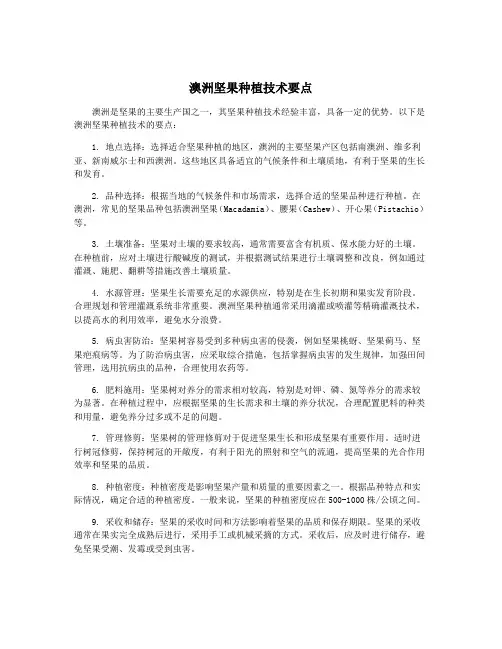 澳洲坚果种植技术要点 2