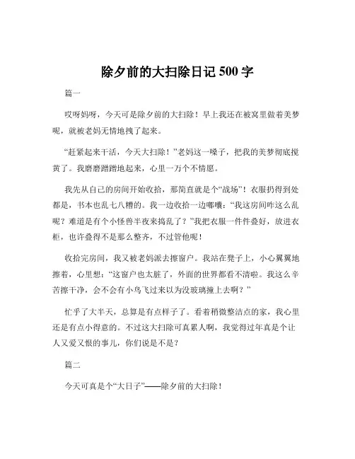 除夕前的大扫除日记500字