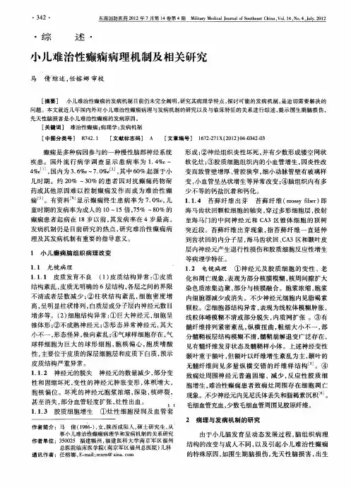 小儿难治性癫痫病理机制及相关研究