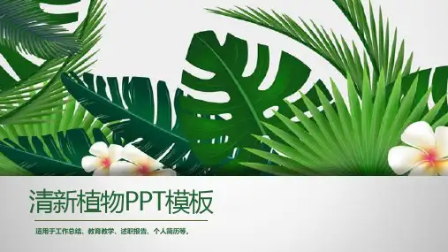 清新养眼绿色植物PPT模板 (2)
