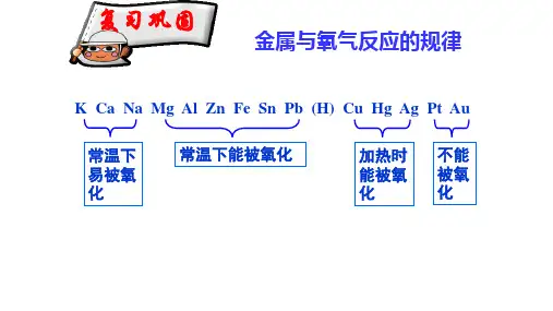 人教版化学必修1高一第一学期第三章金属及其化合物第一节金属的化学性质(共19张PPT)