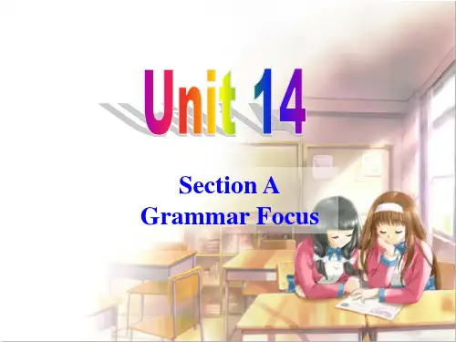 九年级Unit 14Grammar Focus