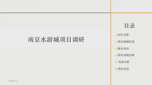 南京水游城调研PPT课件