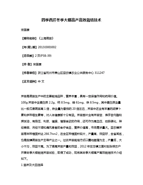 四季西芹冬季大棚高产高效栽培技术