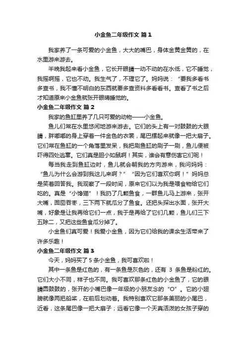 小金鱼二年级作文 3