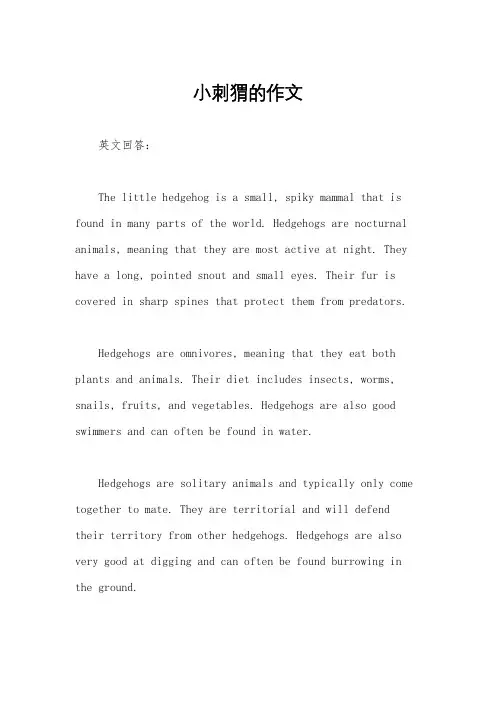 小刺猬的作文
