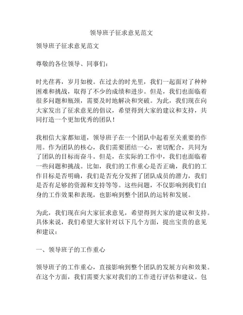 领导班子征求意见范文