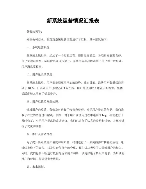 新系统运营情况汇报表