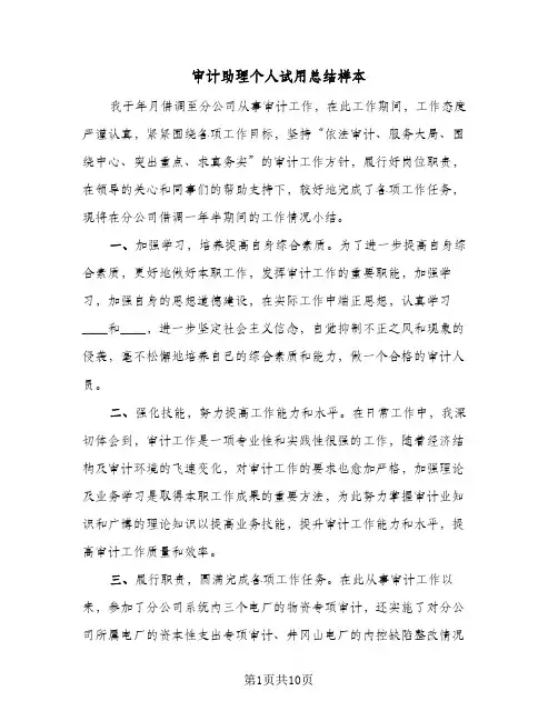审计助理个人试用总结样本(4篇)