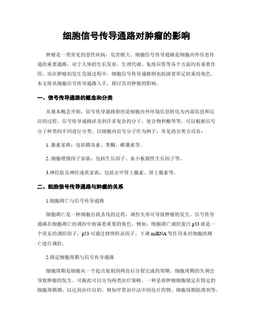 细胞信号传导通路对肿瘤的影响