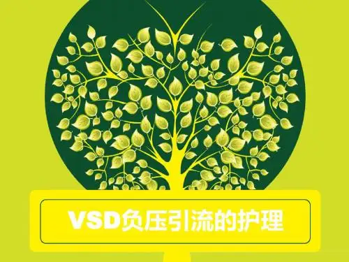 VSD负压引流的护理  ppt课件