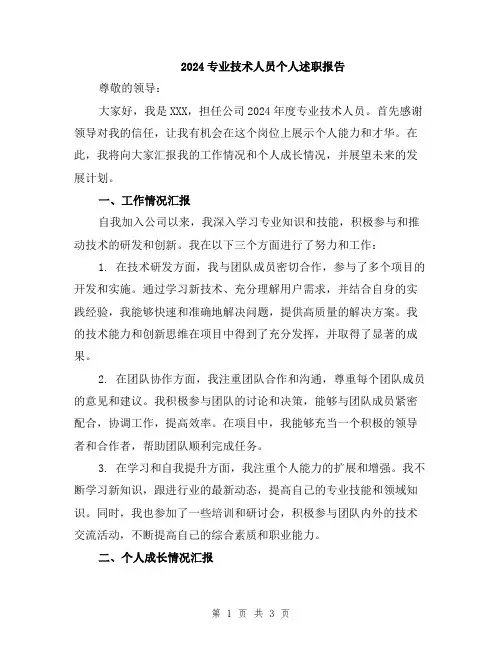 2024专业技术人员个人述职报告