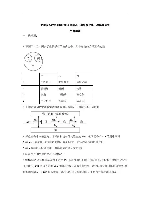 2019届湖南省长沙市高三第一次模拟考试生物试题