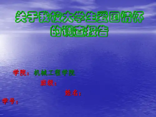 -关于我校大学生爱国情怀的调查