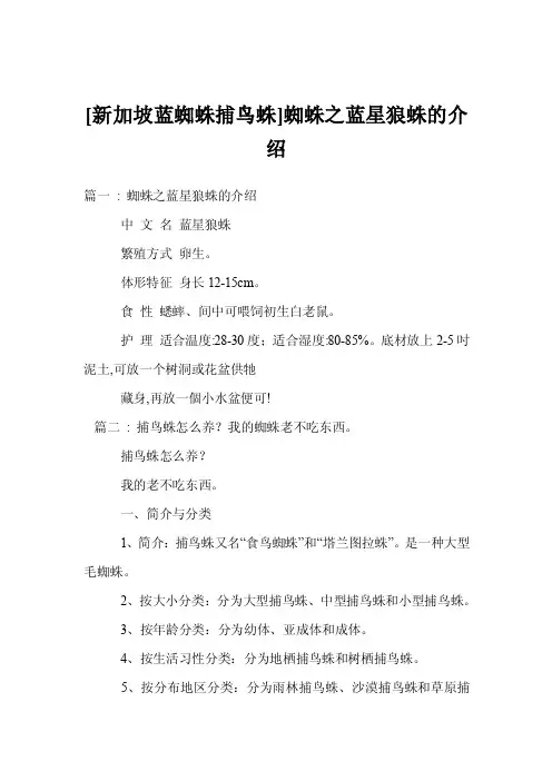 [新加坡蓝蜘蛛捕鸟蛛]蜘蛛之蓝星狼蛛的介绍