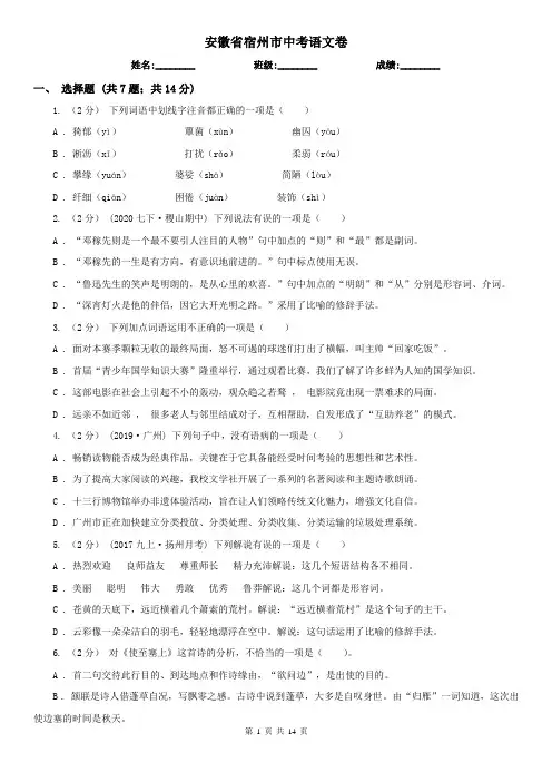 安徽省宿州市中考语文卷