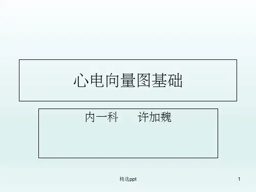 心电向量图PPT课件