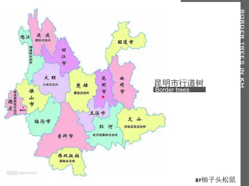 昆明市行道树整理