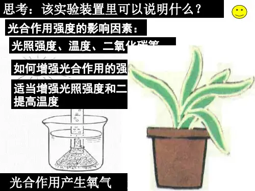 九年级科学植物的新陈代谢新陈代谢(PPT)5-2