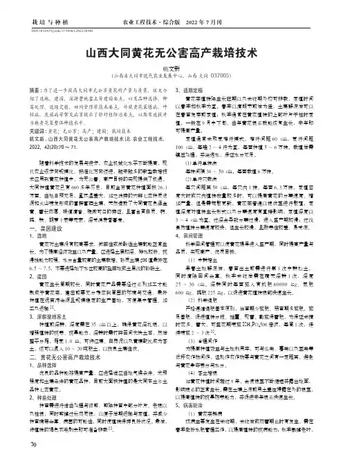 山西大同黄花无公害高产栽培技术