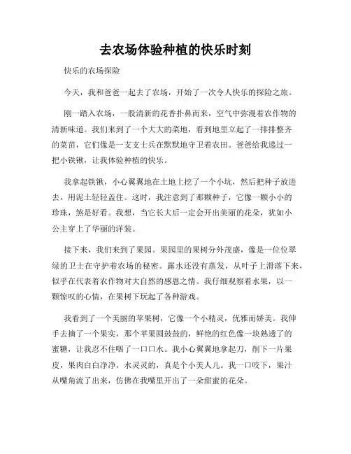 三年级作文那次玩得真高兴之去农场体验种植的快乐时刻